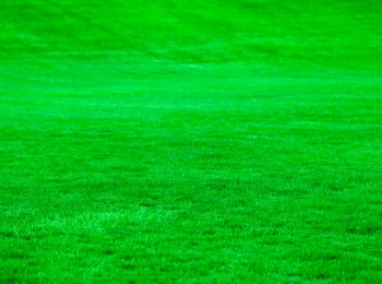 программа Загородный: Счастливы в месте