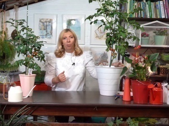 Секреты-садоводства-с-Мариной-Рыкалиной-16-серия