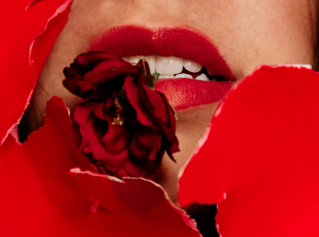 программа Русская ночь: Секси к вашим услугам