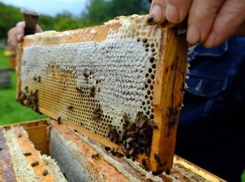 Сельские-профессии-11-серия