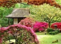 Сельские-профессии-4-серия