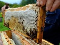 программа Усадьба: Сельские профессии 7 серия