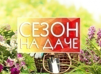 Сезон-на-даче