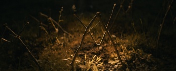 программа Кинопремьера: Шелби Оукс Город призрак