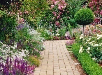 Шесть-соток-Живая-изгородь-своими-руками