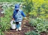 программа Загородный: Шесть соток