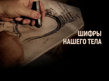 программа Доктор: Шифры нашего тела Неизвестные органы