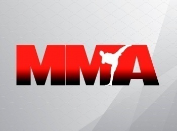 программа Бокс ТВ: Шоу Octagon 18 MMA, профессионалы