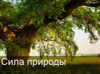 Сила-природы-Маска-бальзам-для-волос