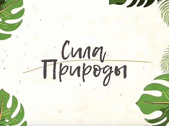 Сила-природы