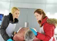 Следствие-по-телу-10-серия