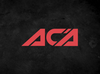 Смешанные-единоборства-ACA-173-Артем-Фролов-против-Владислава-Янковского-Тони-Джонсон-против-Карлоса-Фелипе-Трансляция-из-Минска-Прямая-трансляция