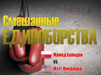 Смешанные-единоборства-KSW-Лучшее-Мамед-Халидов-против-Мэтта-Линдланда