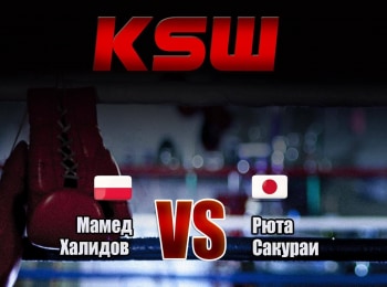 Смешанные-единоборства-KSW-Лучшее-Мамед-Халидов-против-Рюта-Сакураи