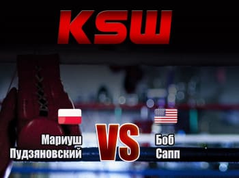 Смешанные-единоборства-KSW-Лучшее-Мариуш-Пудзяновский-против-Боба-Саппа