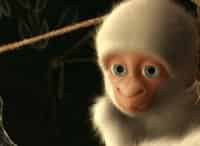 программа Солнце: Снежинка