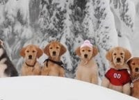 Снежная пятёрка кадры Снежная пятёрка кадры