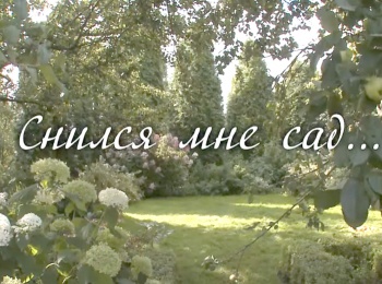 программа Точка ТВ: Снился мне сад