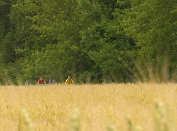 программа Продвижение: Сны о России