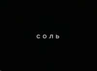 Соль-АнимациЯ