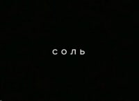 Соль-Свежее