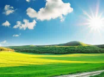 программа Беларусь 24: Солнечные дни 1 серия