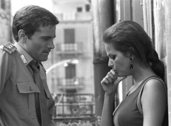 программа KINO24: Сова появляется днем