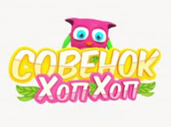 Совенок-ХопХоп-Геометрическая-пирамидка