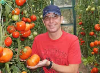 Советы-Александра-Ганичкина-Огурцы