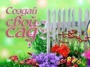 Создай-свой-сад-В-стиле-Марты-Шварц