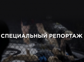 программа Бокс ТВ: Специальный репортаж RCC 22 Екатеринбург