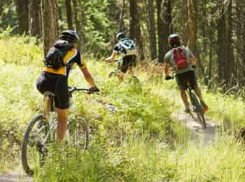 Спортивная-выставка-6-серия