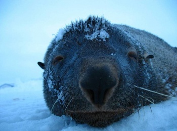 Станция-Восток-На-пороге-жизни-2-серия