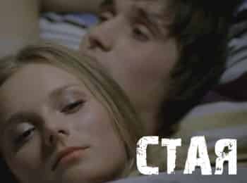 программа БелРос: Стая