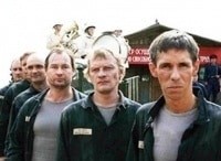 Стая-6-серия