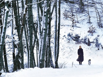 Стинг-Зимняя-ночь