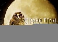 Страна-птиц-Аристократы-неба-Орланы