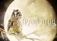 Страна-птиц-Глухариные-сады