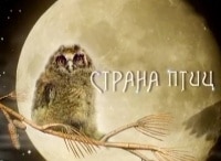 программа Культура: Страна птиц Год цапли