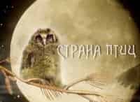 Страна-птиц-Отшельники-реки-Пры
