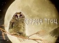 Страна-птиц-Соколиная-школа