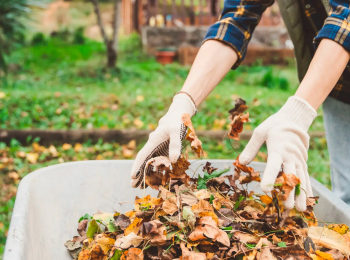 Субботник-1-серия