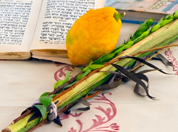 программа ТБН: Суккот Исполнение древних пророчеств