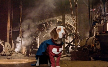 программа Disney: Суперпес