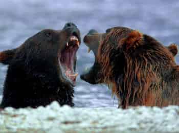 программа Первый канал: Суровое море России