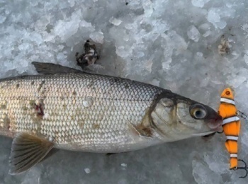 программа Охота: Та самая волшебная лунка 49 серия