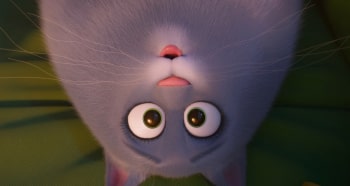 программа Премиальное SD: Тайная жизнь домашних животных 2