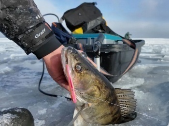 программа Охота: Тайны Волгоградского водохранилища 38 серия