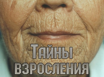 программа Доктор: Тайны взросления Старость Золотые годы