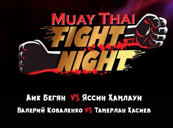 программа МАТЧ! Боец: Тайский бокс Muay Thai Night Аик Бегян против Яссина Хамлауи Валерий Коваленко против Тамерлана Хасиева